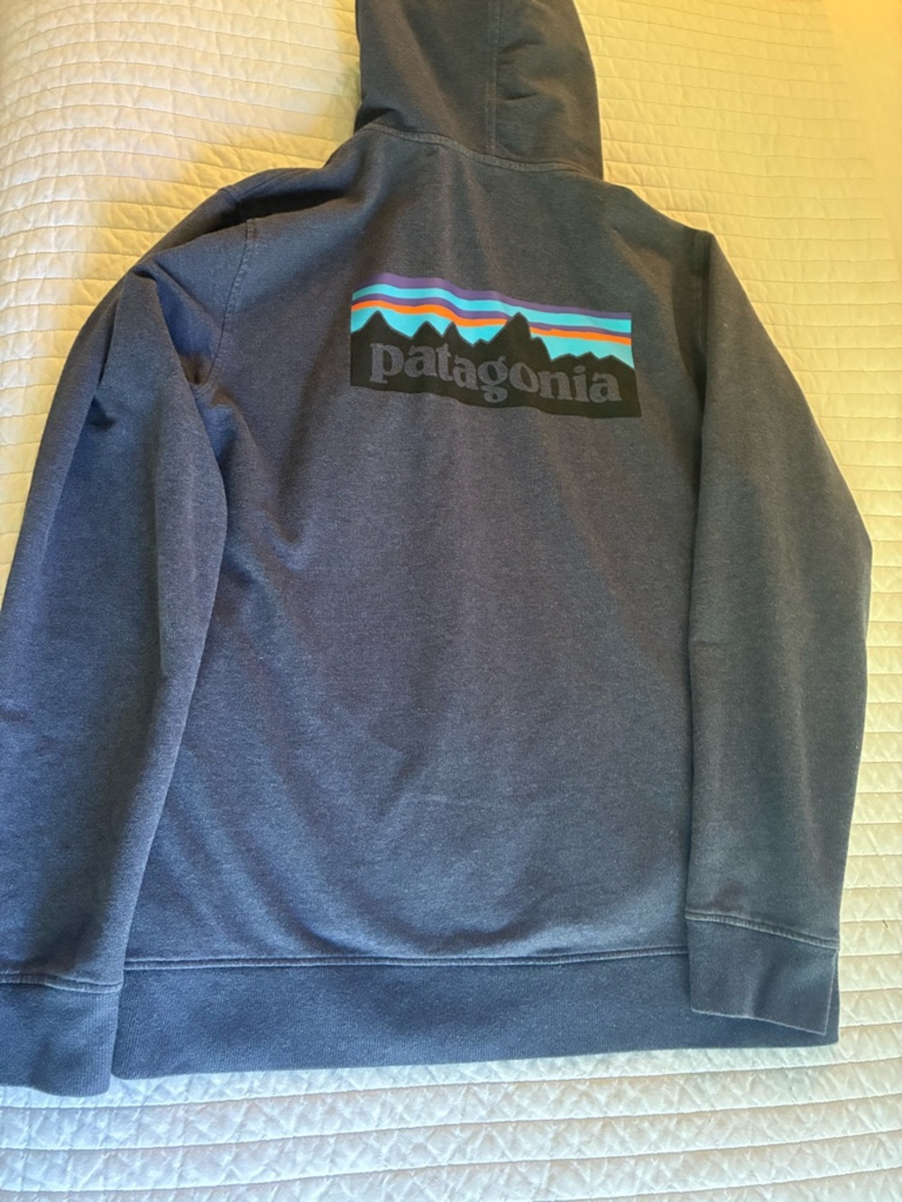 Patagonia Men's Navy Zip-up